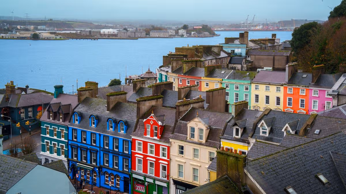 Cork Beo