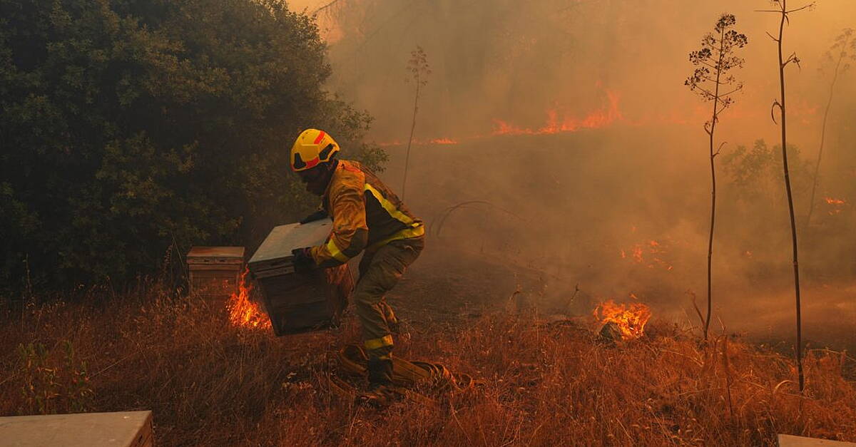 UN warns that strong El Nino will add fuel to ‘a planet already on fire’