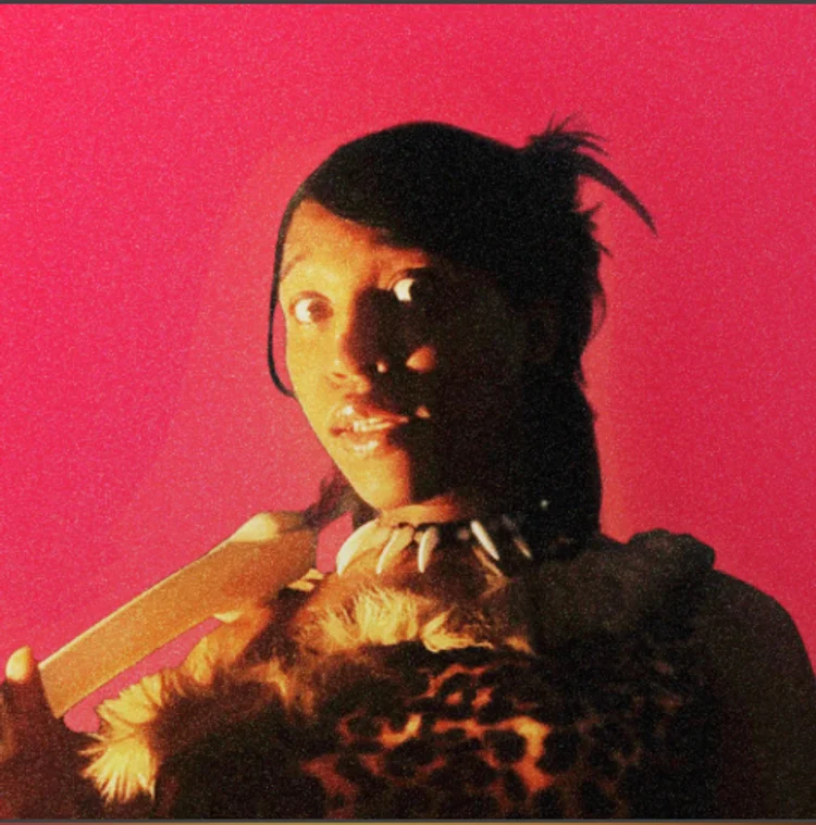 Best New Albums This Week: The Strokes, Charli Xcx, Body Type, Willow, Alex Cameron, Portraits Of Tracy And More 18