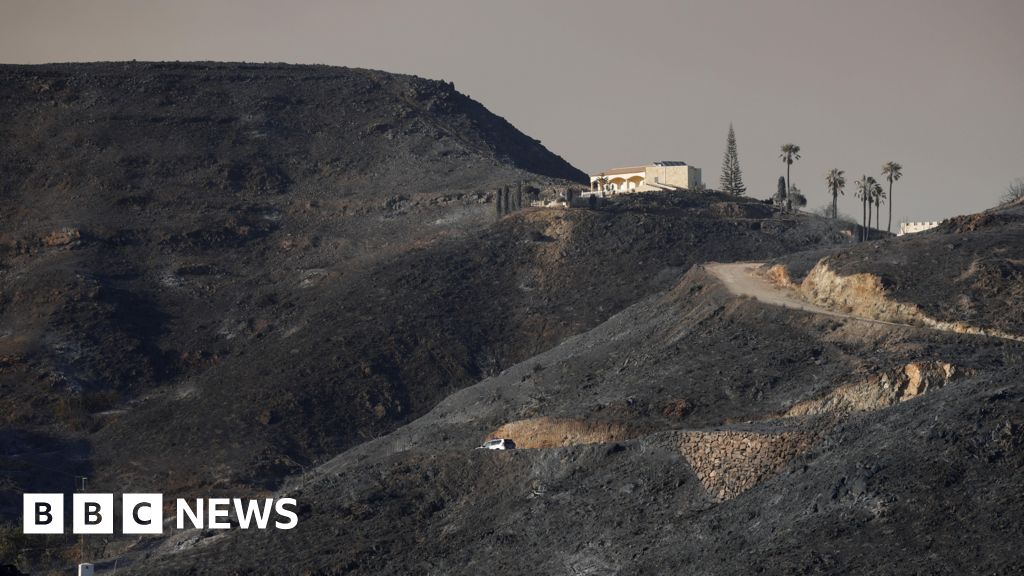 Seven Britons among those killed in Spain wildfires - BBC