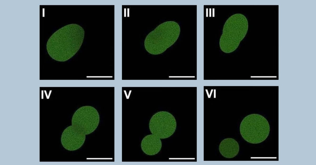 Scientists create first man-made cell that can eat and grow