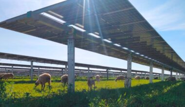 Wall Street Is Pivoting From Solar To Solar Plus Storage