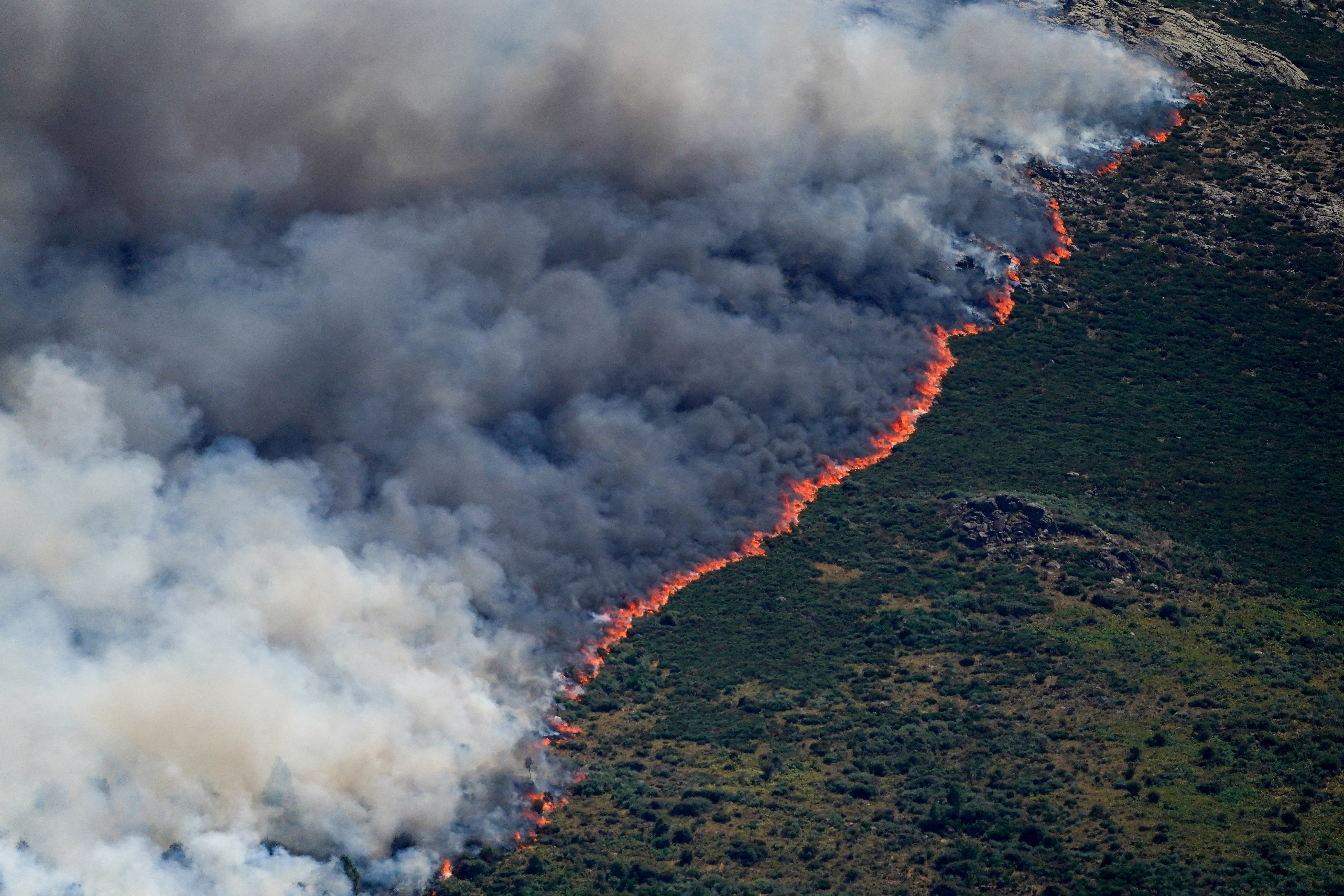 In Avila, Spain, wildfires spread across the Burgohondo mountains