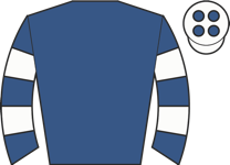 Horse silk