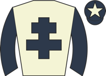 Horse silk