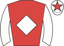 Horse silk