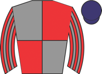 Horse silk