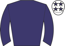 Horse silk
