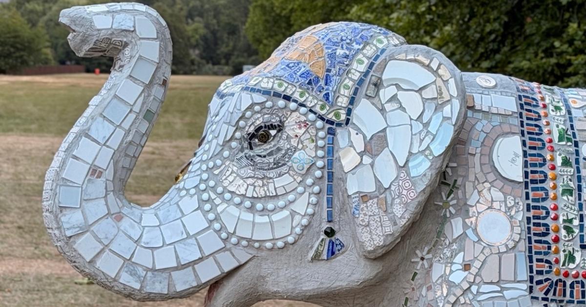 Trunks across the Thames elephant art trail opens in Slough