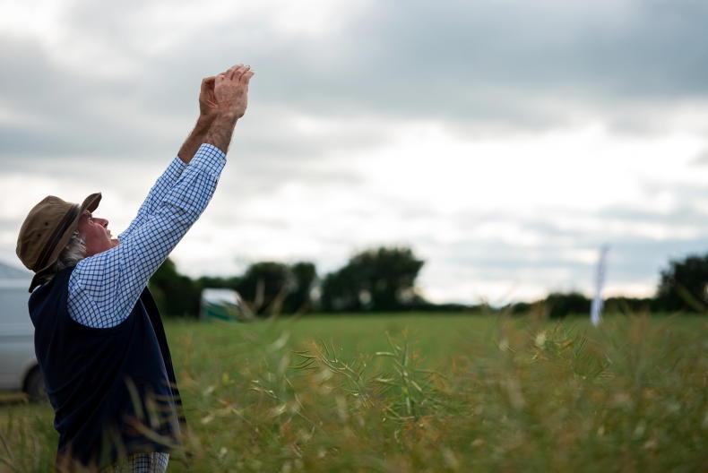 Planet leaves trials lists, but newer and improved varieties come to market