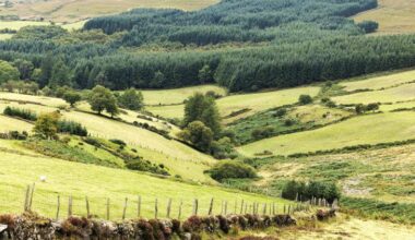 New evidence on earliest farming communities in west of Ireland