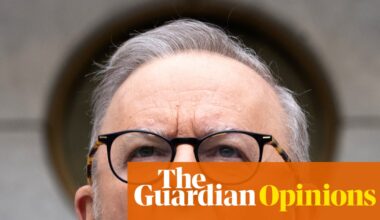 AI may be the toughest challenge Anthony Albanese faces this term. Guardrails are urgently needed | Peter Lewis