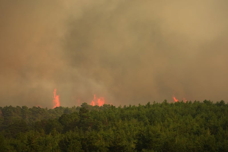 A wildfire has scorched parts of Guadalajara in Spain. Photograph: Manu Fernandez/AP