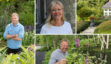 Carlow Garden Festival: What is the single best thing you can do for a garden of any size? – The Irish Times