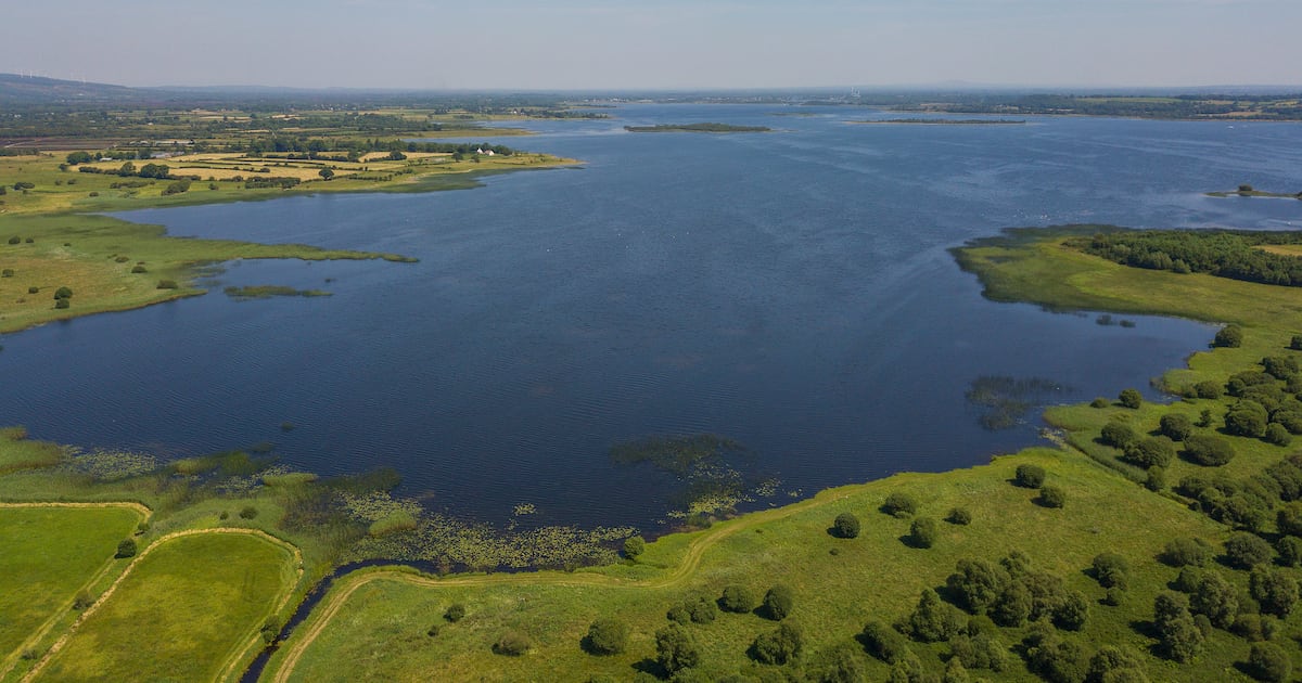 Boy (15) dies after getting into difficulty in water in Westmeath – The Irish Times