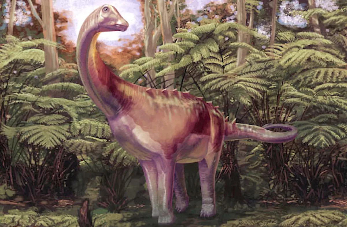 An 'unremarkable' fossil found in Antarctica 40 years ago is the continent's first dinosaur bone