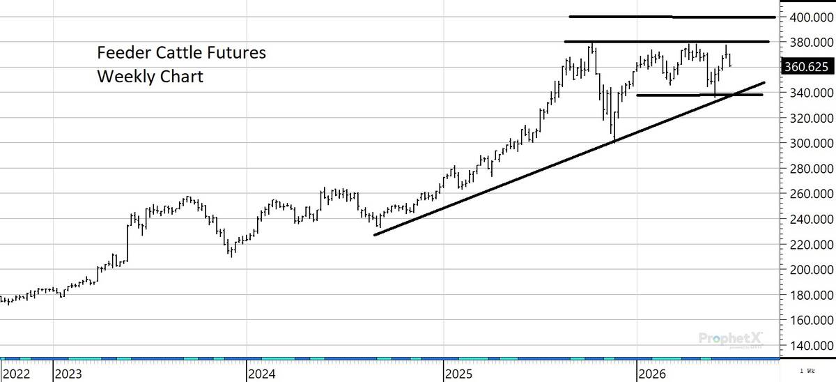 feeder price chart july 16