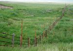 grasslands
