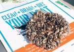 A pile of zebra mussels sitting on a poster that reads, "Clean, drain, dry your boat."