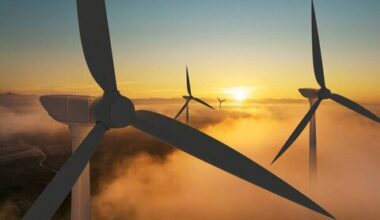 Mayo community's delight as windfarm plan is rejected - news