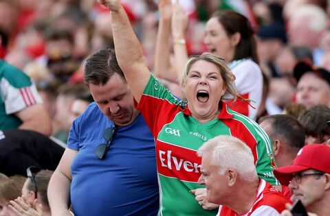 All-Ireland Countdown: Final bark would cap year of the underdog - GAA