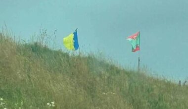 ‘Criminal damage’ to signs in County Roscommon supporting Mayo is condemned - News