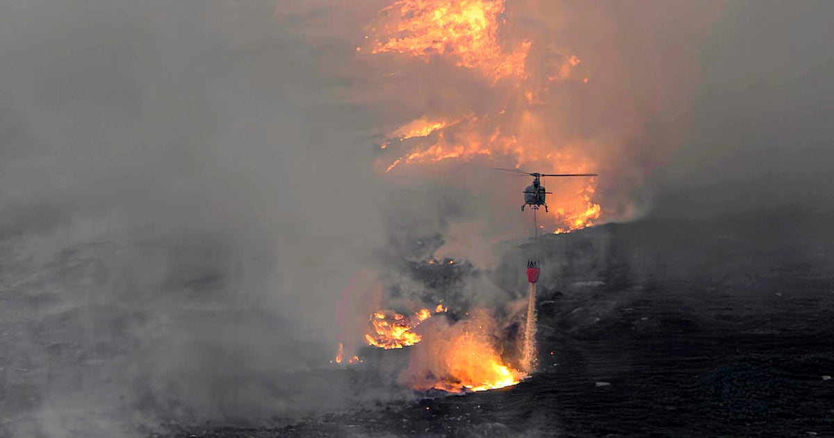Slievenamon wildfire enters fourth day as firefighters battle blaze – The Irish Times