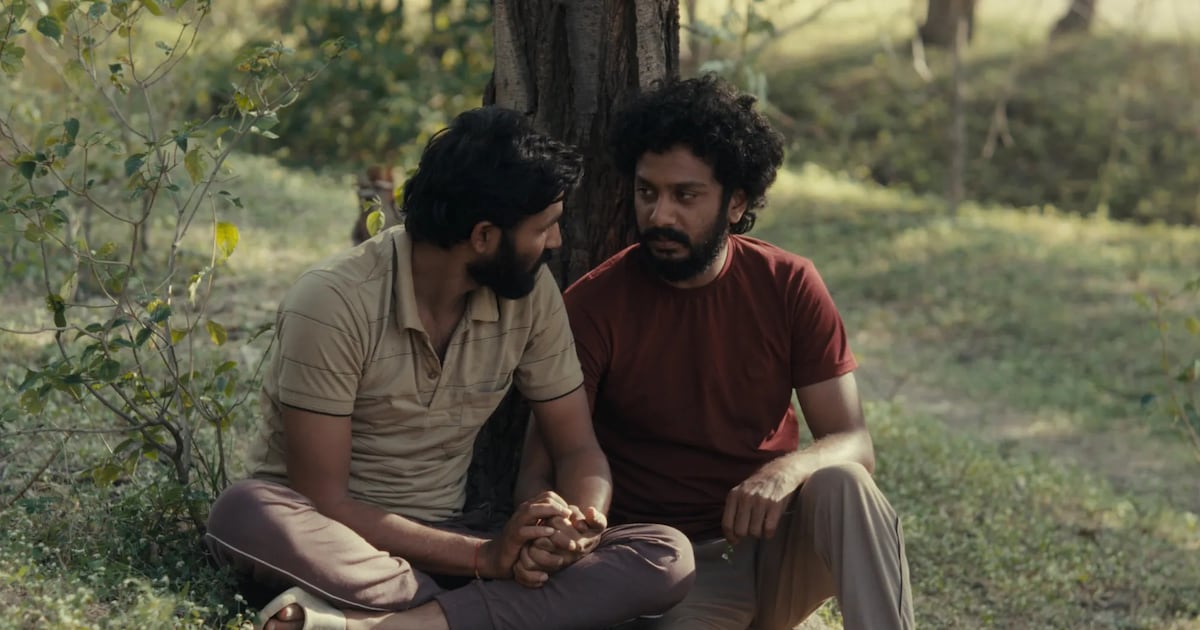 Cactus Pears review: Grief and familial convention frame quiet queer romance – The Irish Times