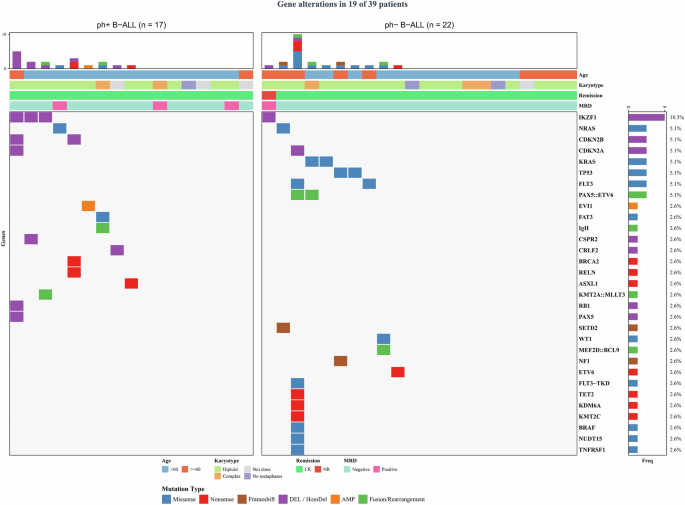 Fig. 3: OncoPrint plot of the landscape of gene alterations.