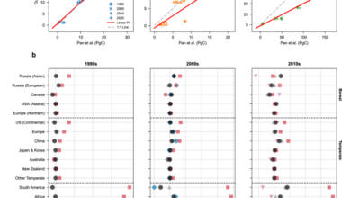 Decadal sink-source shifts of forest aboveground carbon since 1988