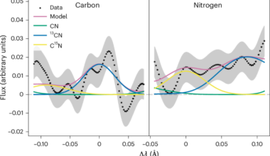 High nitrogen and carbon isotopic ratios in the interstellar comet 3I/ATLAS