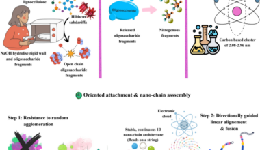 Hibiscus derived nitrogen doped carbon nanochains for visual pH sensing and catalytic methyl orange degradation