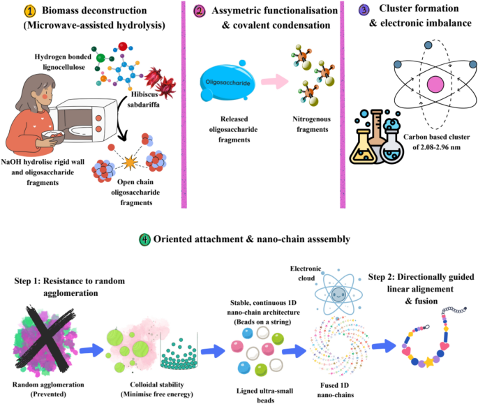 Hibiscus derived nitrogen doped carbon nanochains for visual pH sensing and catalytic methyl orange degradation