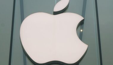 Apple Delays Smart Glasses Launch Over Privacy Issues, Report Says