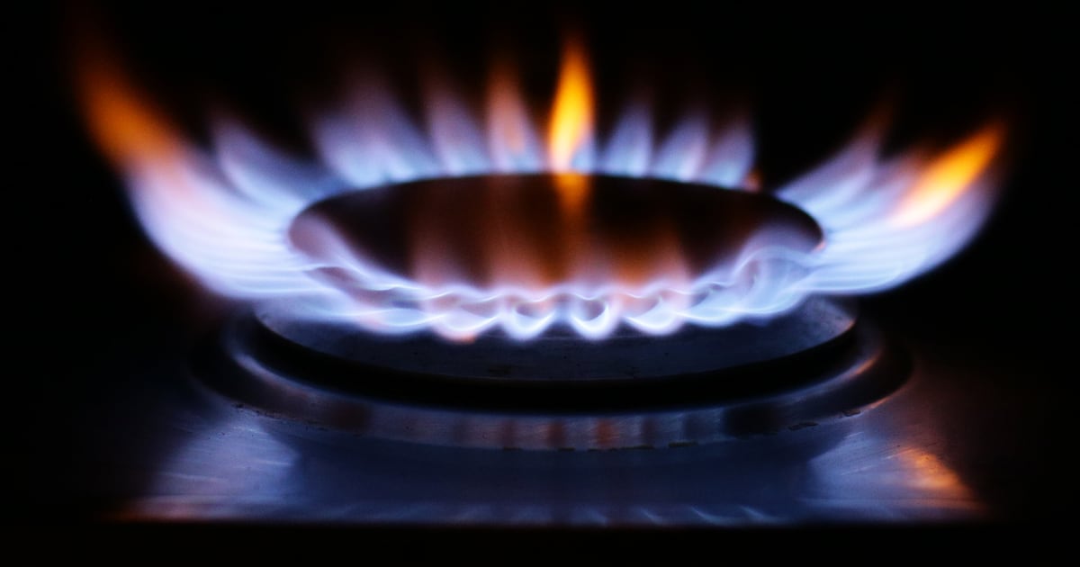 Gas Networks Ireland to pay €66m dividend to Government – The Irish Times