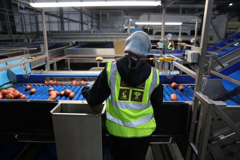 The factory floor of Keogh’s Farm in Westpalstown, Oldtown, Co Dublin. Photograph: Dara Mac Dónaill/The Irish Times








