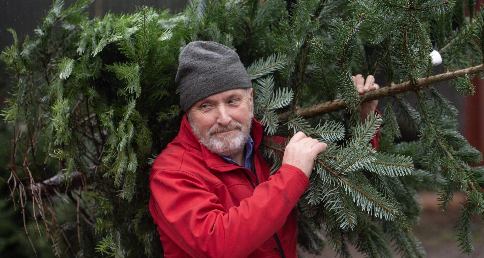 Pat Lehane of Castletreasure Christmas Tree farm in Cork. Over 100 delegates from 12 countries will meet in Ireland for the annual meeting of the Christmas Tree Growers Council of Europe. Picture: Dan. Linehan