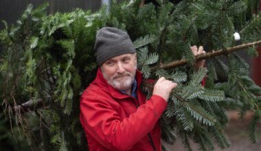 Pat Lehane of Castletreasure Christmas Tree farm in Cork. Over 100 delegates from 12 countries will meet in Ireland for the annual meeting of the Christmas Tree Growers Council of Europe. Picture: Dan. Linehan