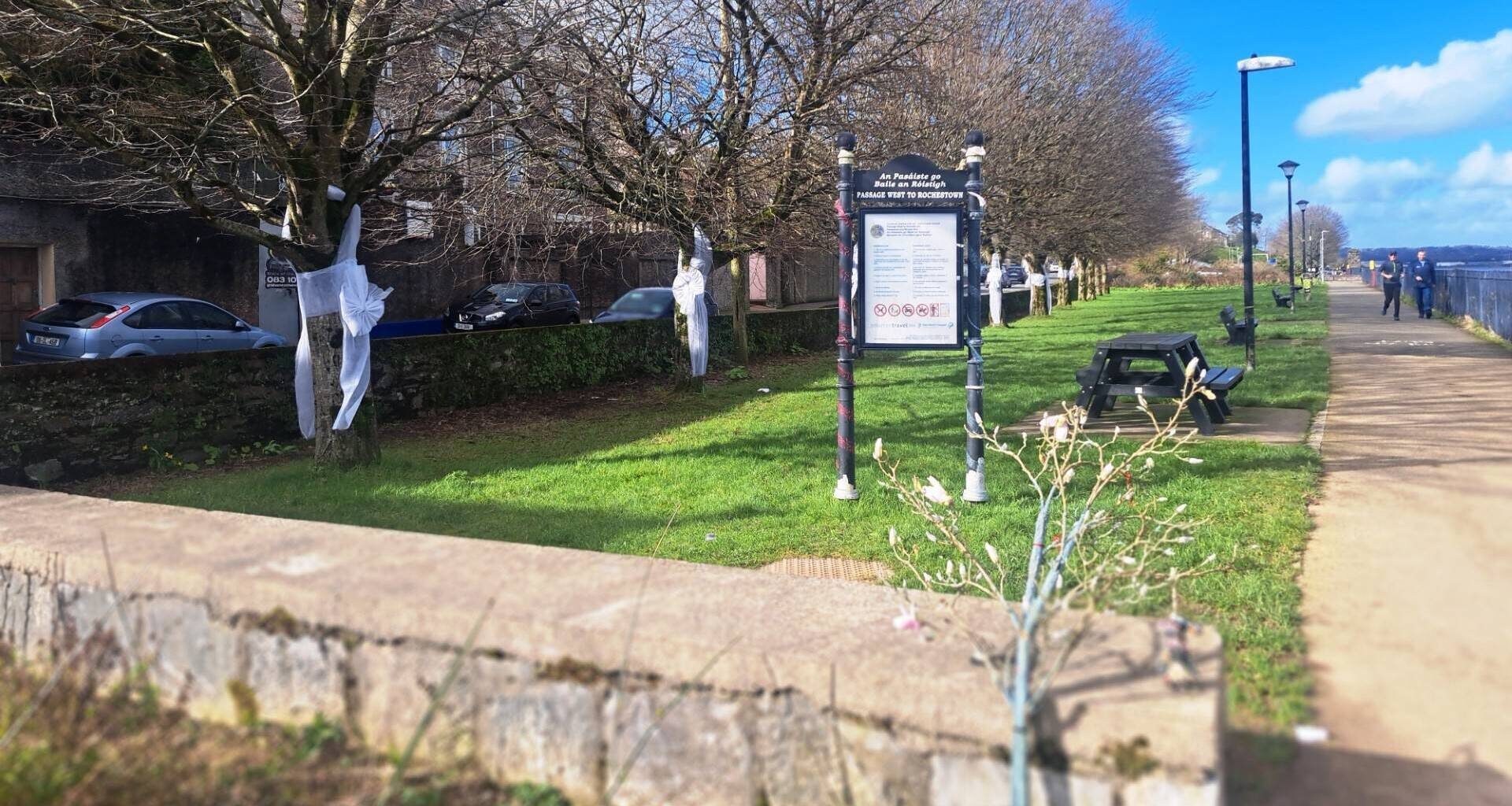 Tom MacSweeney maritime column: Community campaign saves Passage West heritage
