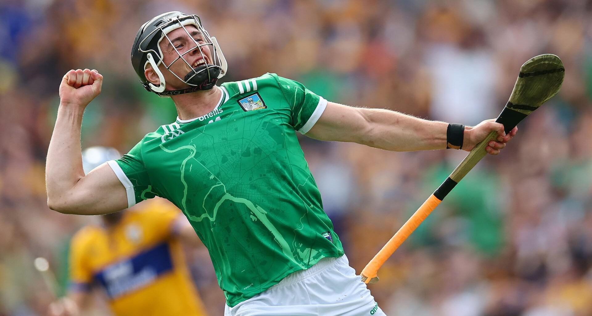 Limerick's Aidan O'Connor celebrates scoring a late goal. Pic: INPHO/James Crombie