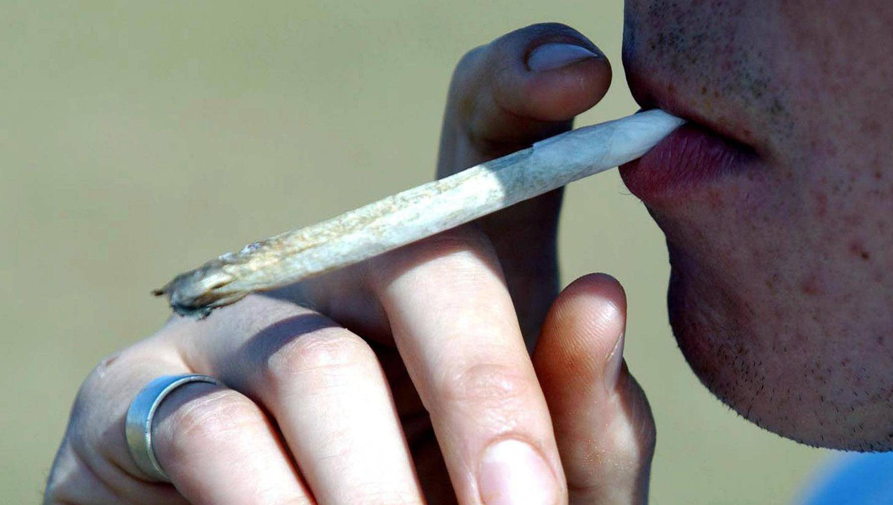 Man arrested after €1.67m cannabis seizure in Cork