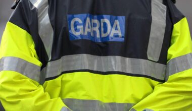 The garda opened the driver’s door and tried to arrest the driver, but the car was allegedly driven a distance of 80 metres with the garda hanging on at the side of the car. File picture