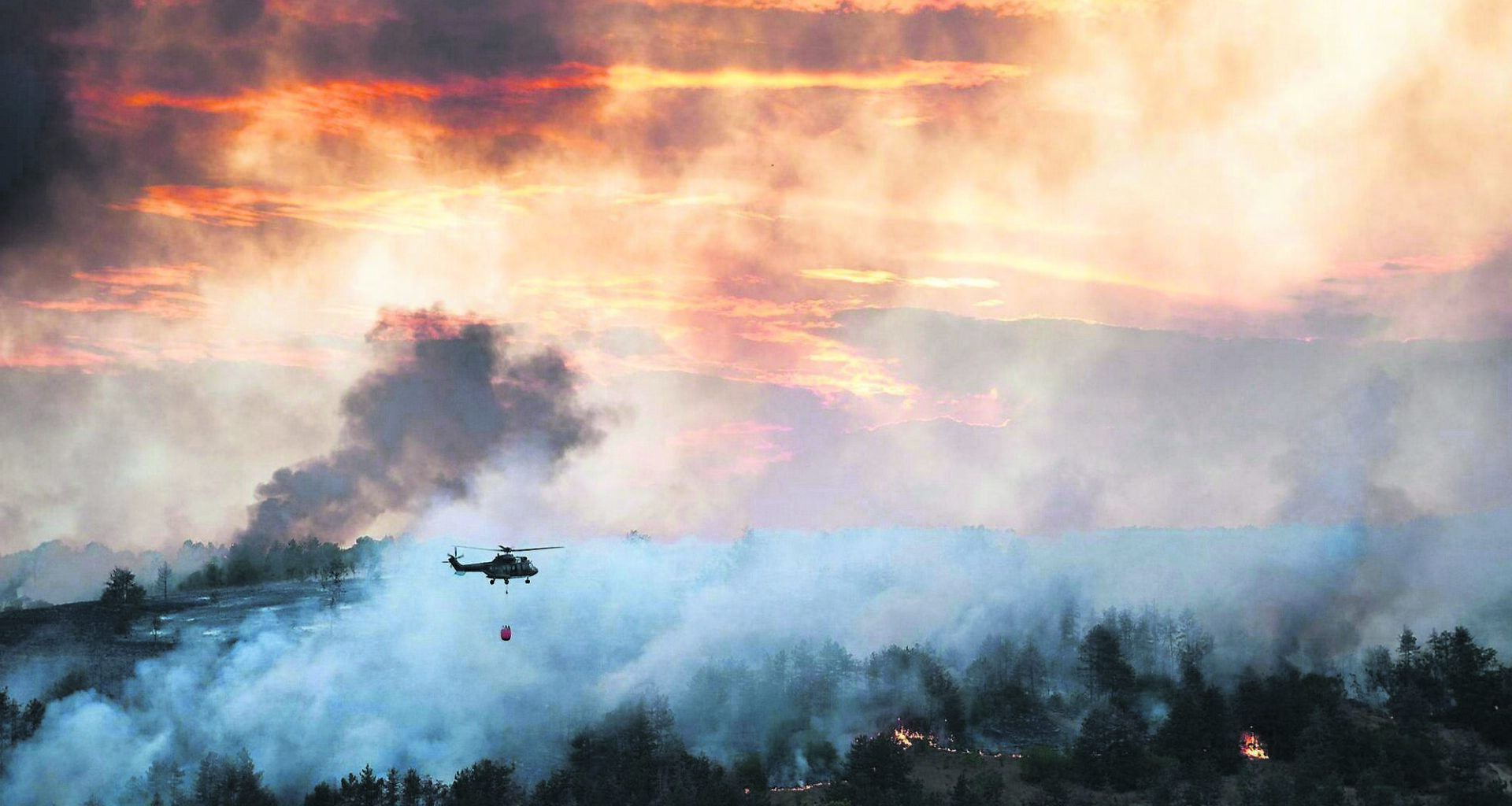 Burning issue: What Europe’s wildfires can teach Ireland