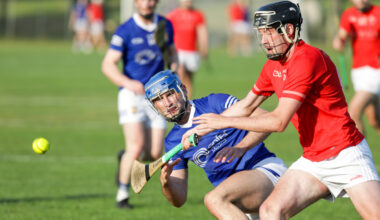 Cork hurlers Padraig Power, Mark Coleman and Shane Barrett feature as Blarney land league title against Ballinhassig