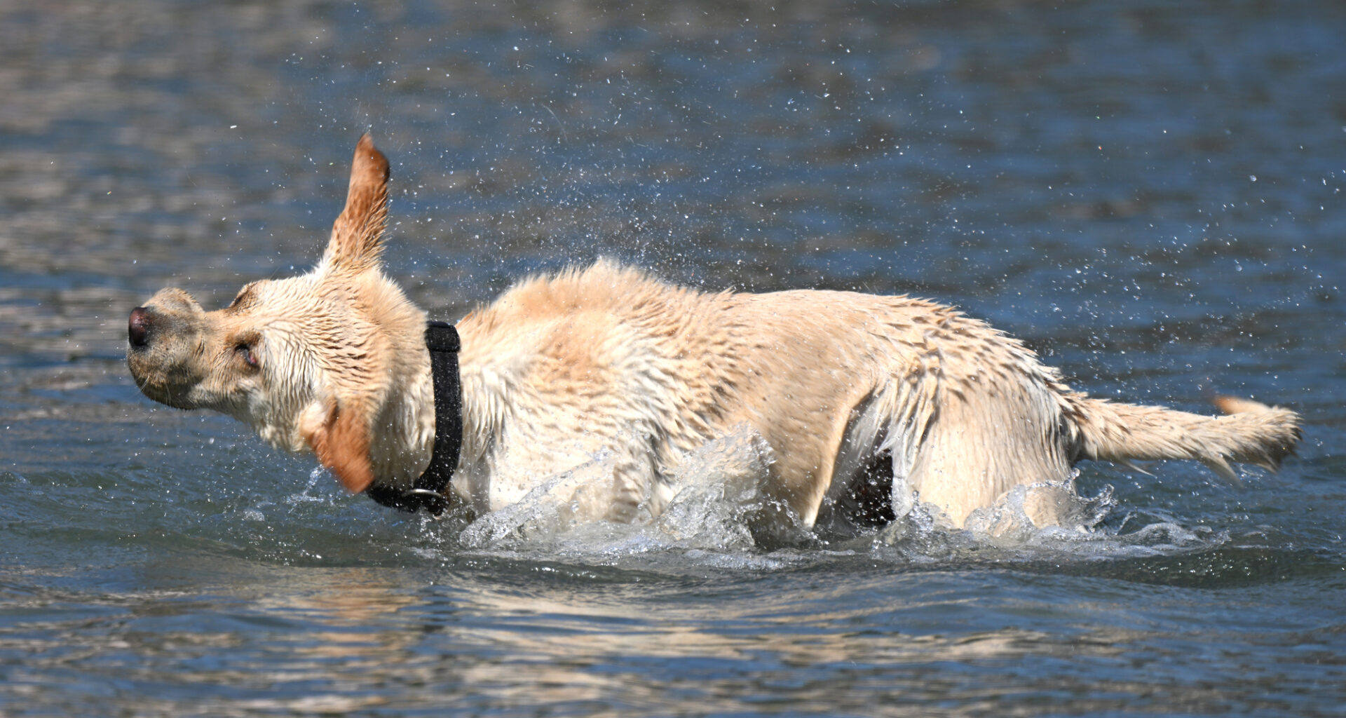 New heat warning issued for Cork as temperatures set to hit 30C