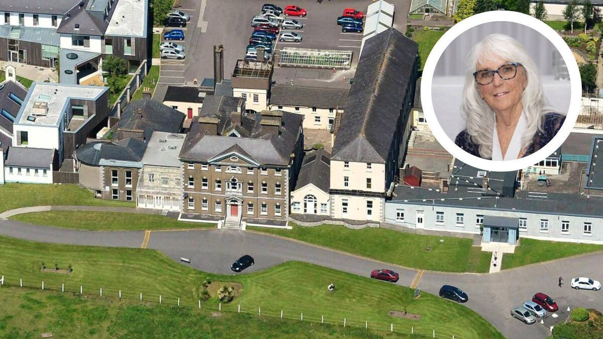 Therese Meyer, inset, said the Government must step in and compulsorily purchase the Bessborough site, and order a forensic examination of the grounds.