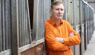 What's on in Cork this weekend: Frank and Walters star does acoustic gig