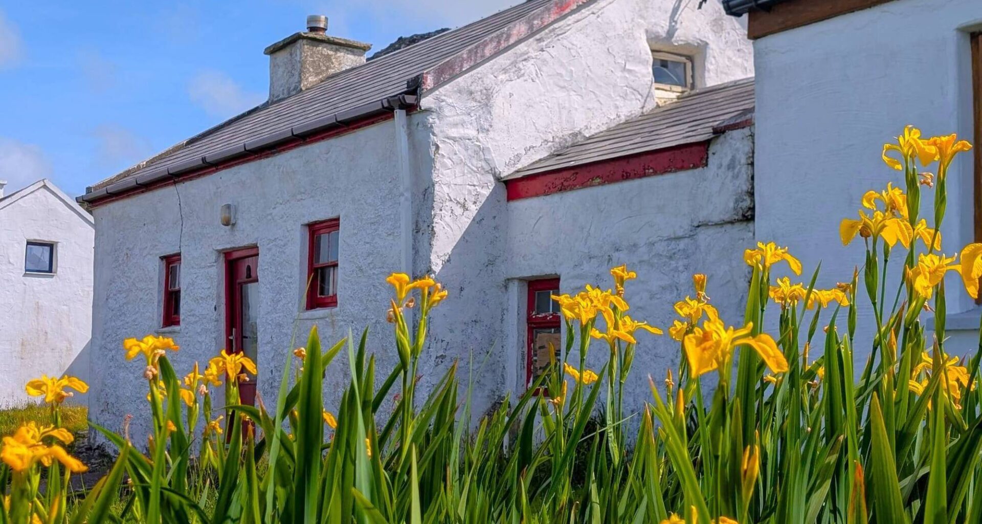 Christened Chaplin Cottage by Josephine Chaplin, the richness of the setting more than compensated for the low-key nature of the property, which has just come to market for €205,000.