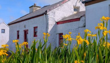 Christened Chaplin Cottage by Josephine Chaplin, the richness of the setting more than compensated for the low-key nature of the property, which has just come to market for €205,000.