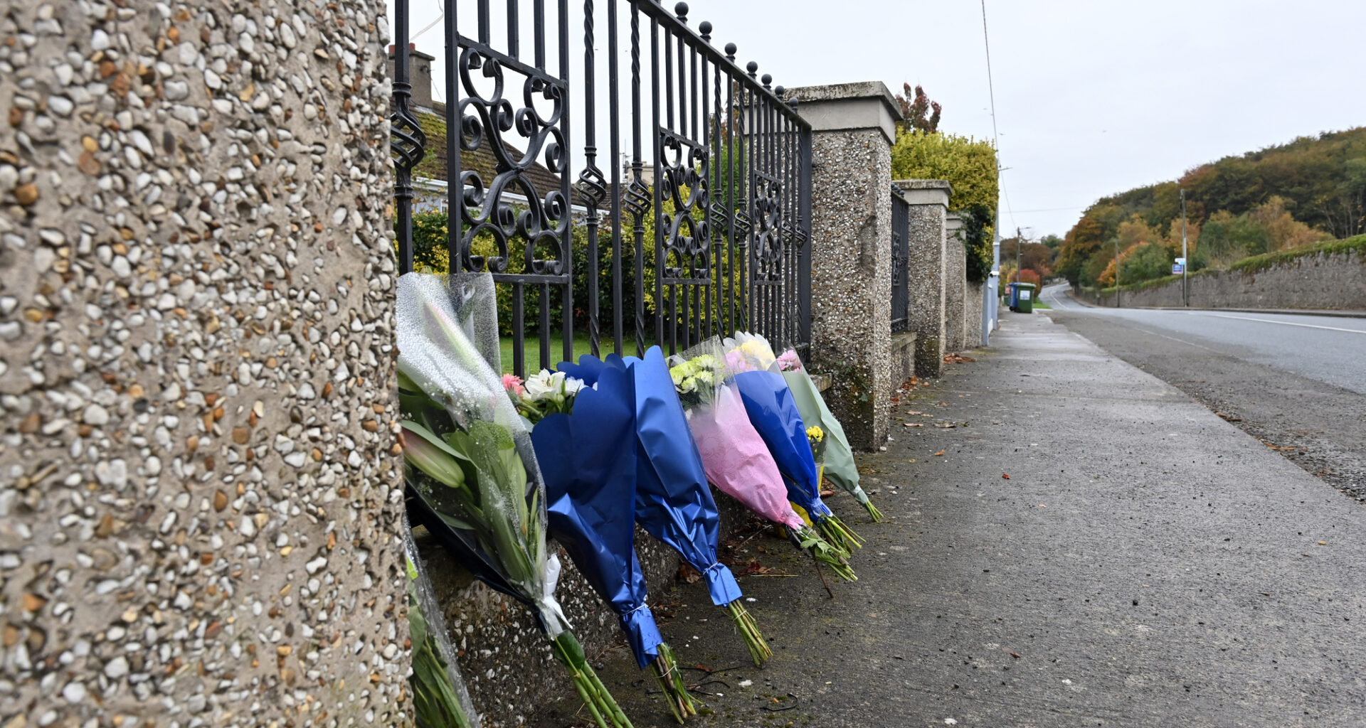 Murder accused in Doneraile trial: 'There was no intent ... to do what happened'